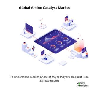 Amines Portfolio .